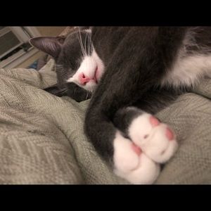 Meet your Posher, Kimberly